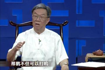 乘瓠而游